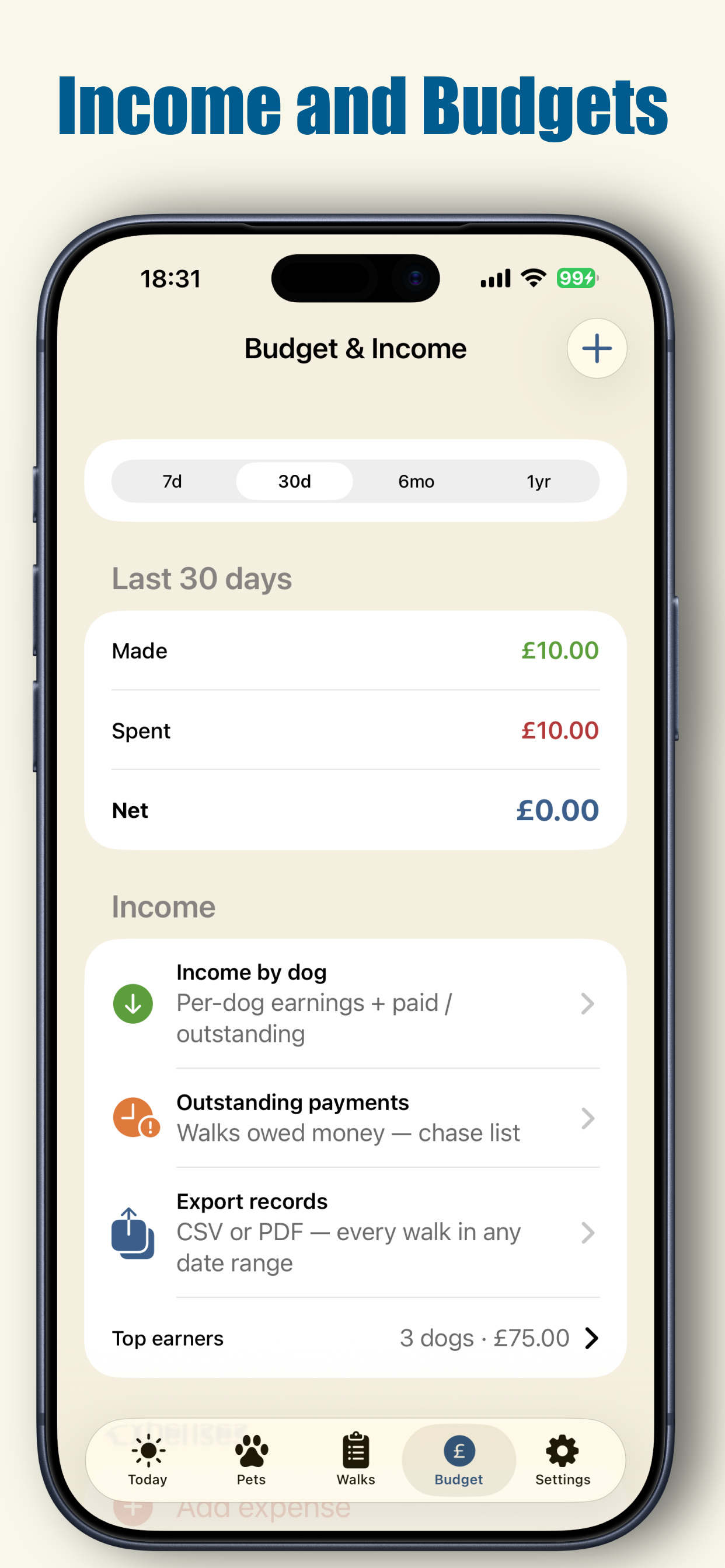 Budget and income screen with outstanding payments