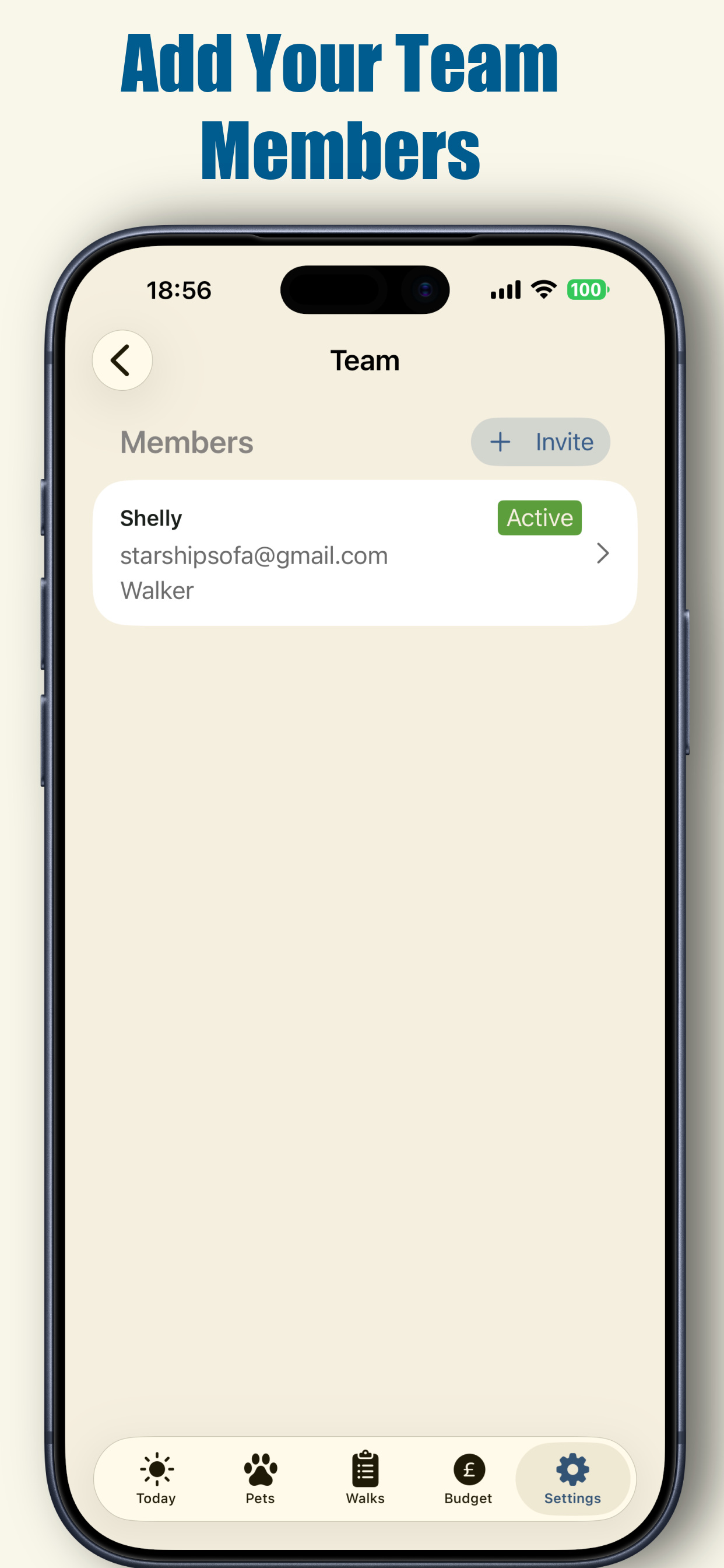 Team members invite screen